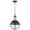 Nuvo Lincoln 1-Light E26 Pendant, E26 60W, Matte Black, Clear Seeded 60/7674 - alternate 2